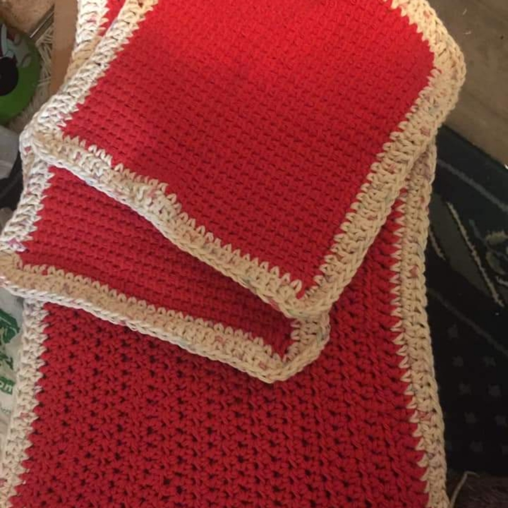 Dish rag and dish towel set